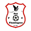 黑狮FC