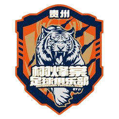 石家庄功夫